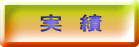 実　績